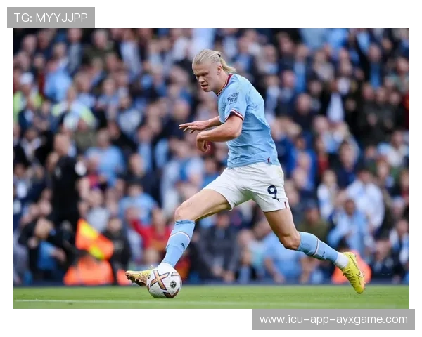 哈兰德终结能力持续输出 哈兰德终结能力持续输出